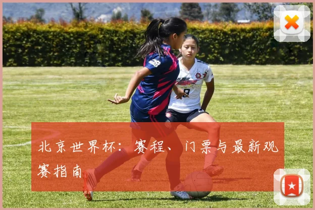 北京世界杯：赛程、门票与最新观赛指南
