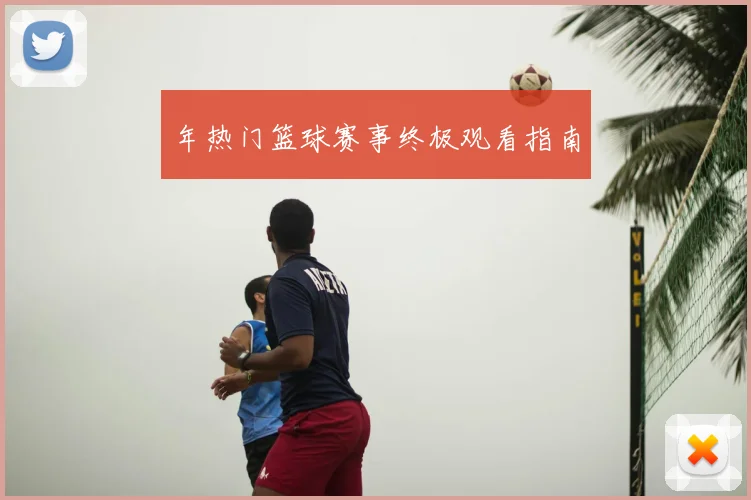 年热门篮球赛事终极观看指南