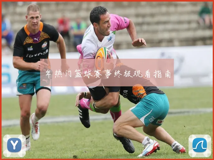 年热门篮球赛事终极观看指南